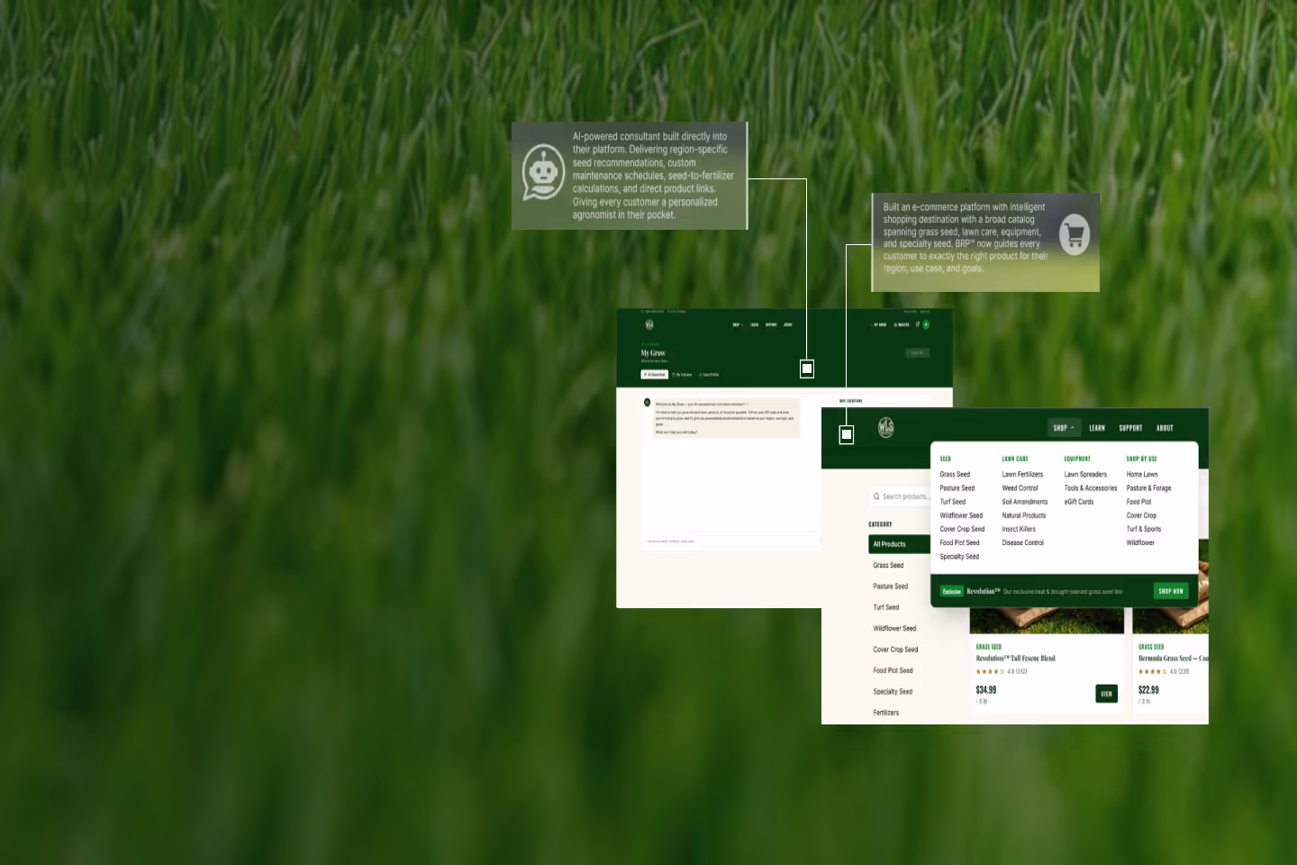 Williams Lawn Seed (WLS)